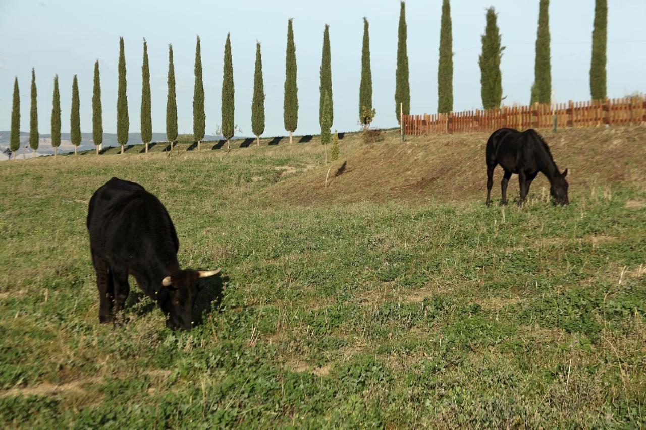 La Tana Del Bianconiglio Villa Castiglione dʼOrcia Kültér fotó
